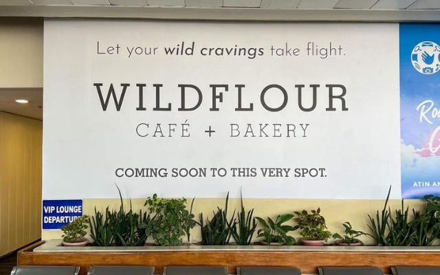 wildflour-naia-2-1690942661.jpg