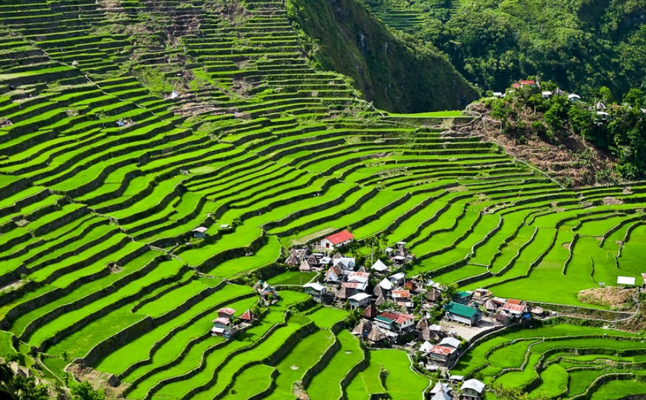 Banaue.png