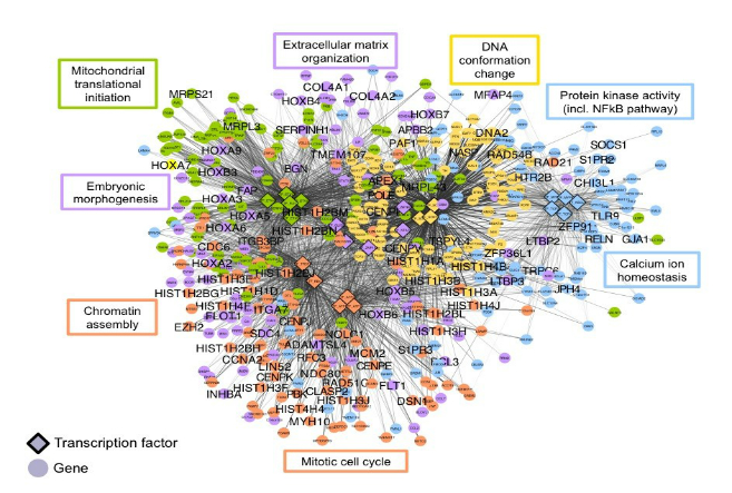 Cell-Social-Network.jpg