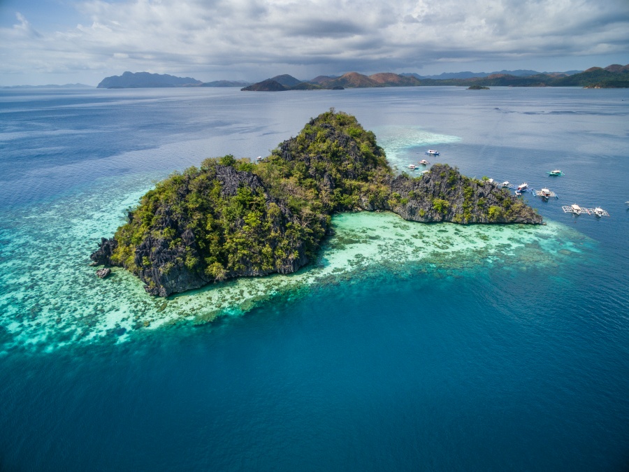 Philippines_Coron_Malwawey-Coral-Garden-珊瑚花園_Ashutterstock_1038141475.jpg