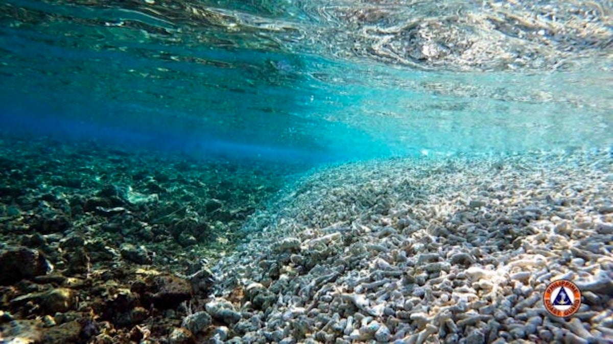 2023-09-19-Underwater-shot-of-coral-bed-at-the-West-Philippine-Sea.jpg