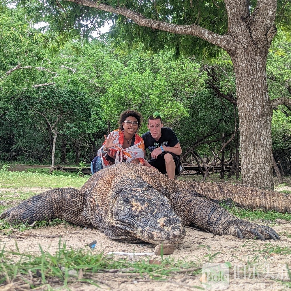 tourist-pose-komodo-dragon-komodo-island-flores.jpg