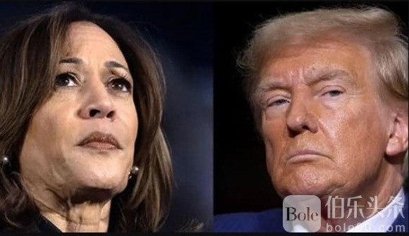 What-The-Betting-Markets-Say-About-The-Trump-Harris-Polls-as-of-Nov-6-in-Asia.jpg