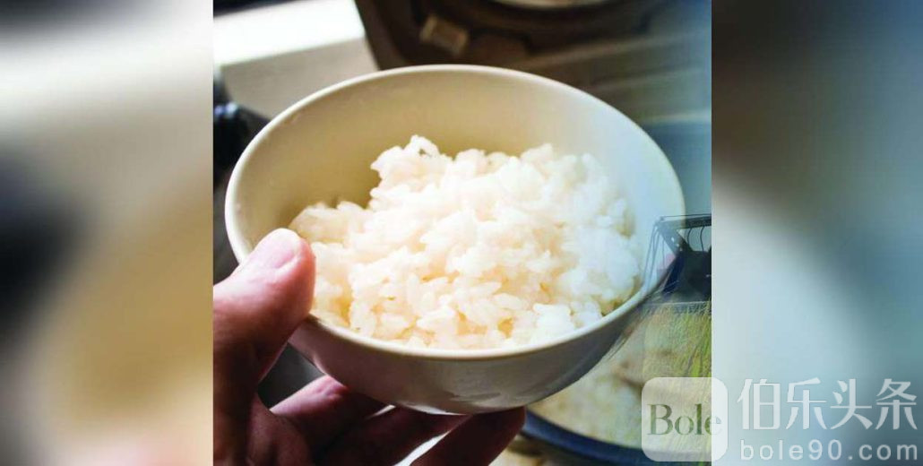 rice-1030x520.jpg