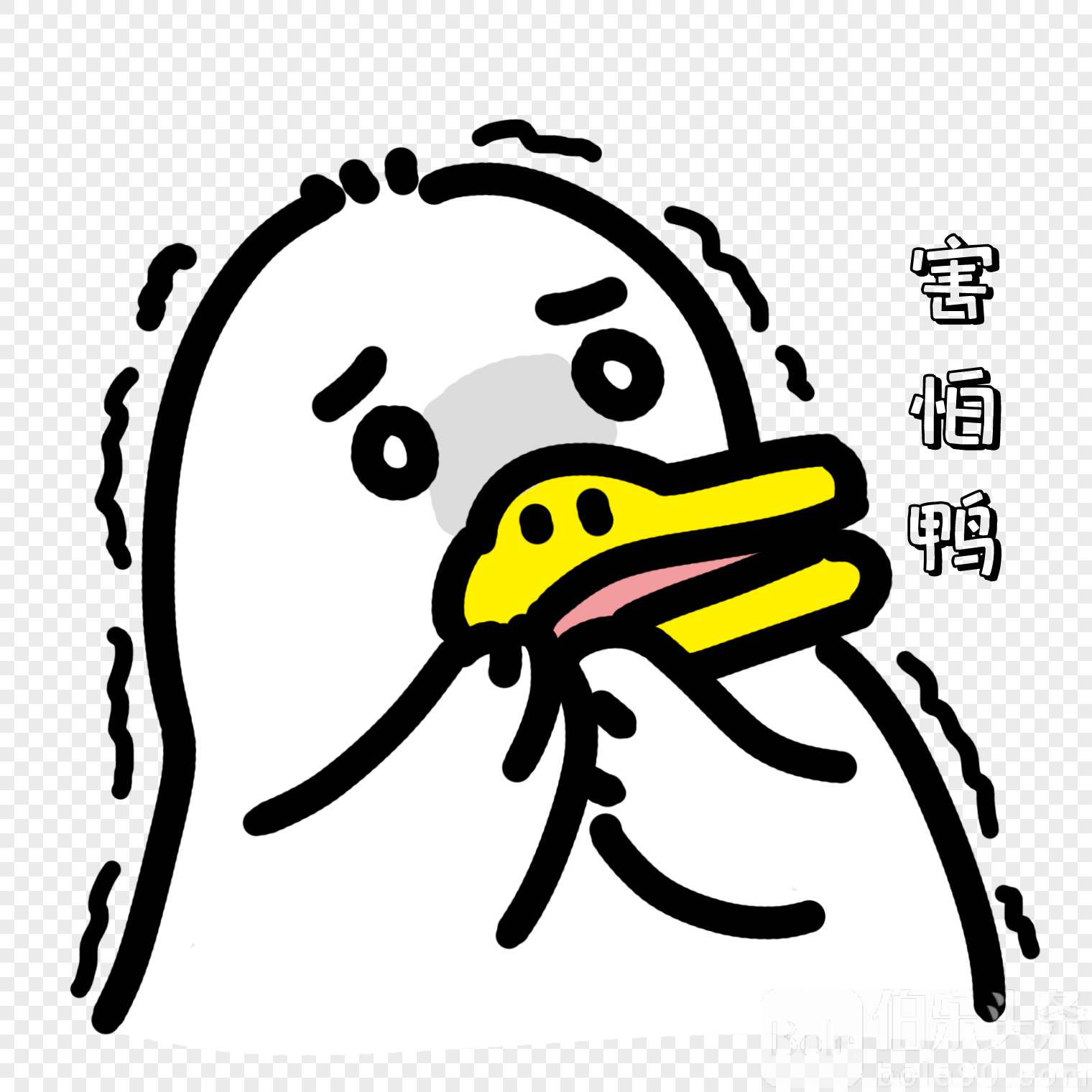 7492.png_1200.png