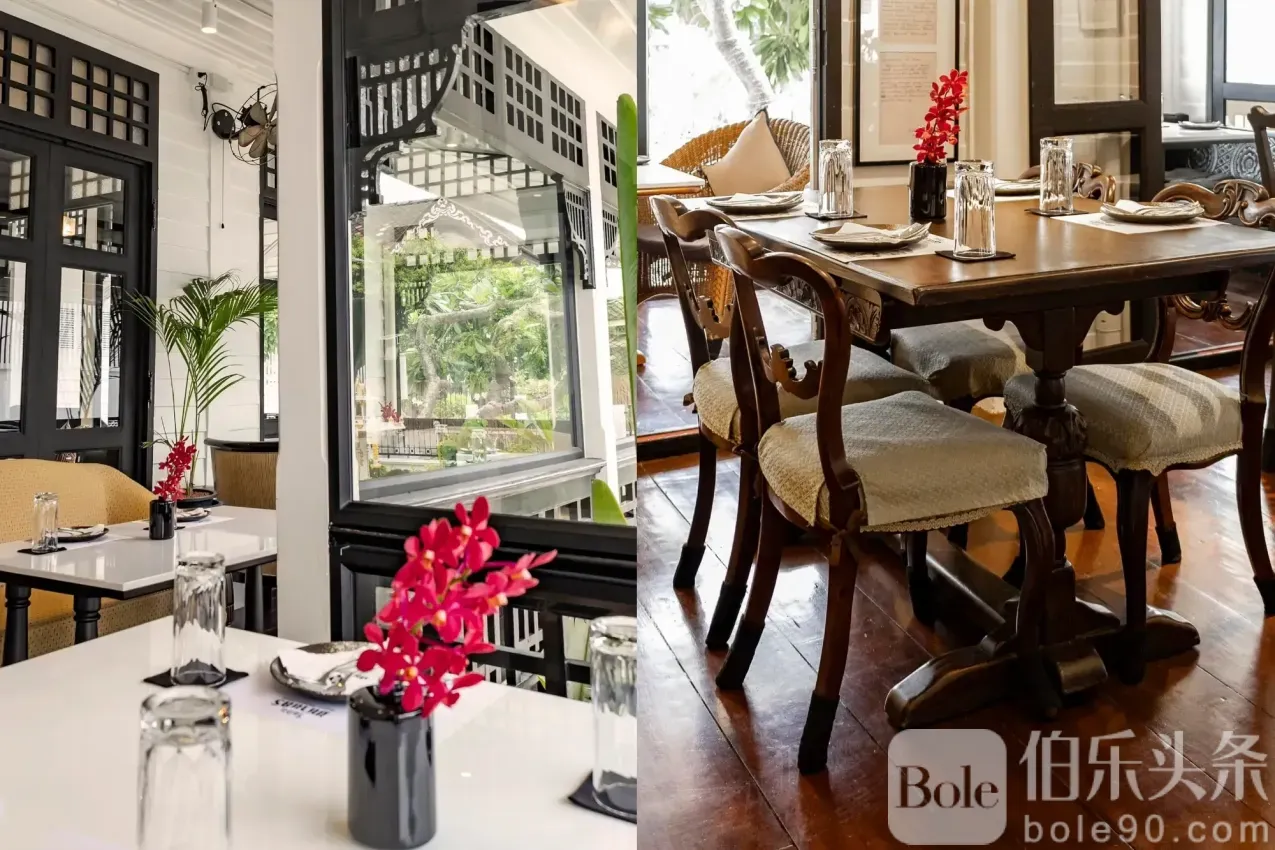 w250514_bangkok-vegan-restaurant-guide_03.webp