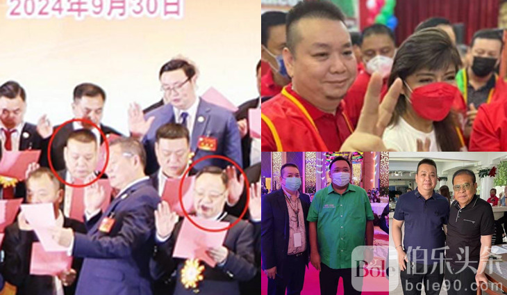 collage.jpg