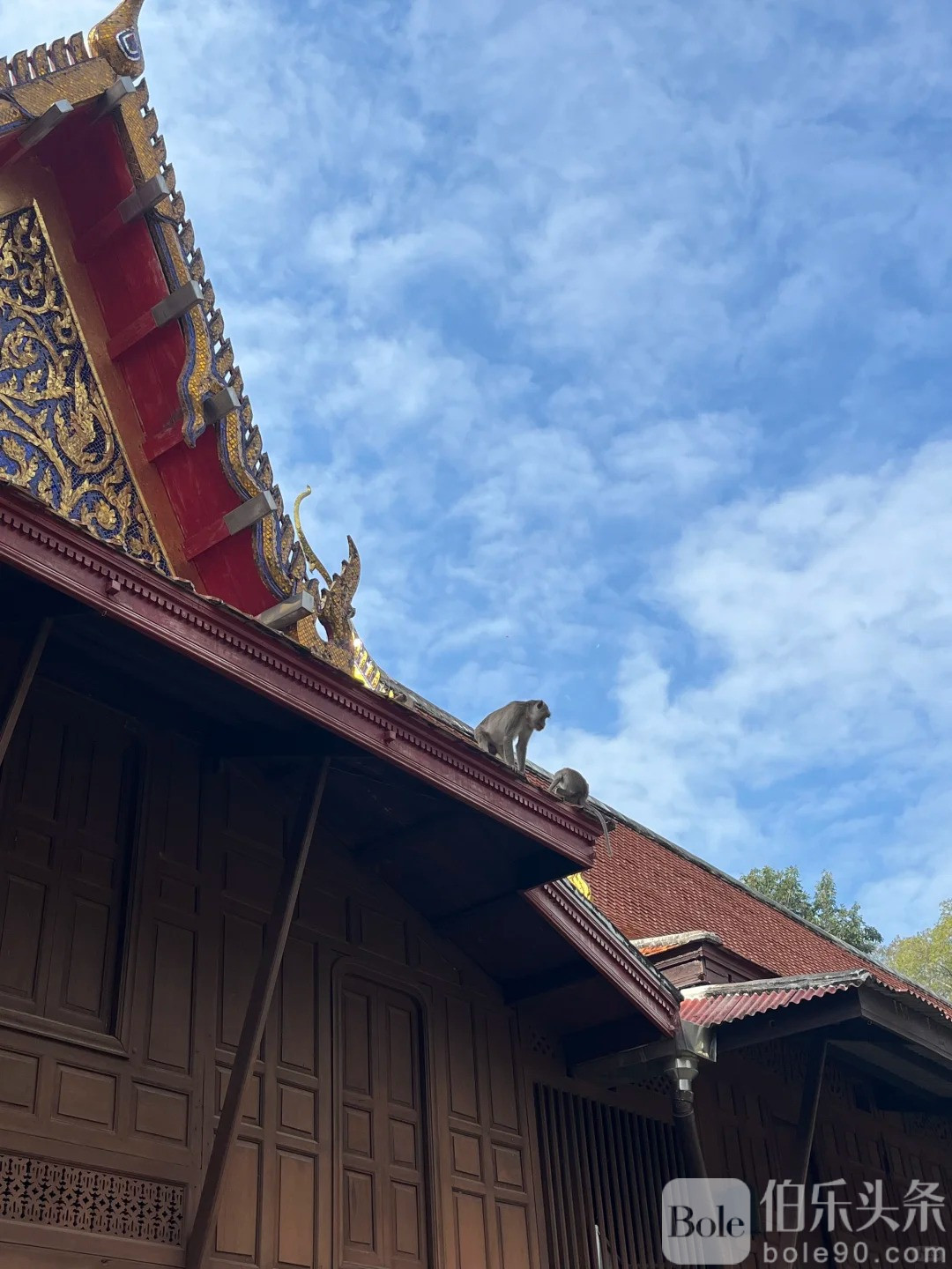 🇹🇭泰国小众旅行地-Ratchaburi_12_阿侬hhh_来自小红书网页版.jpg