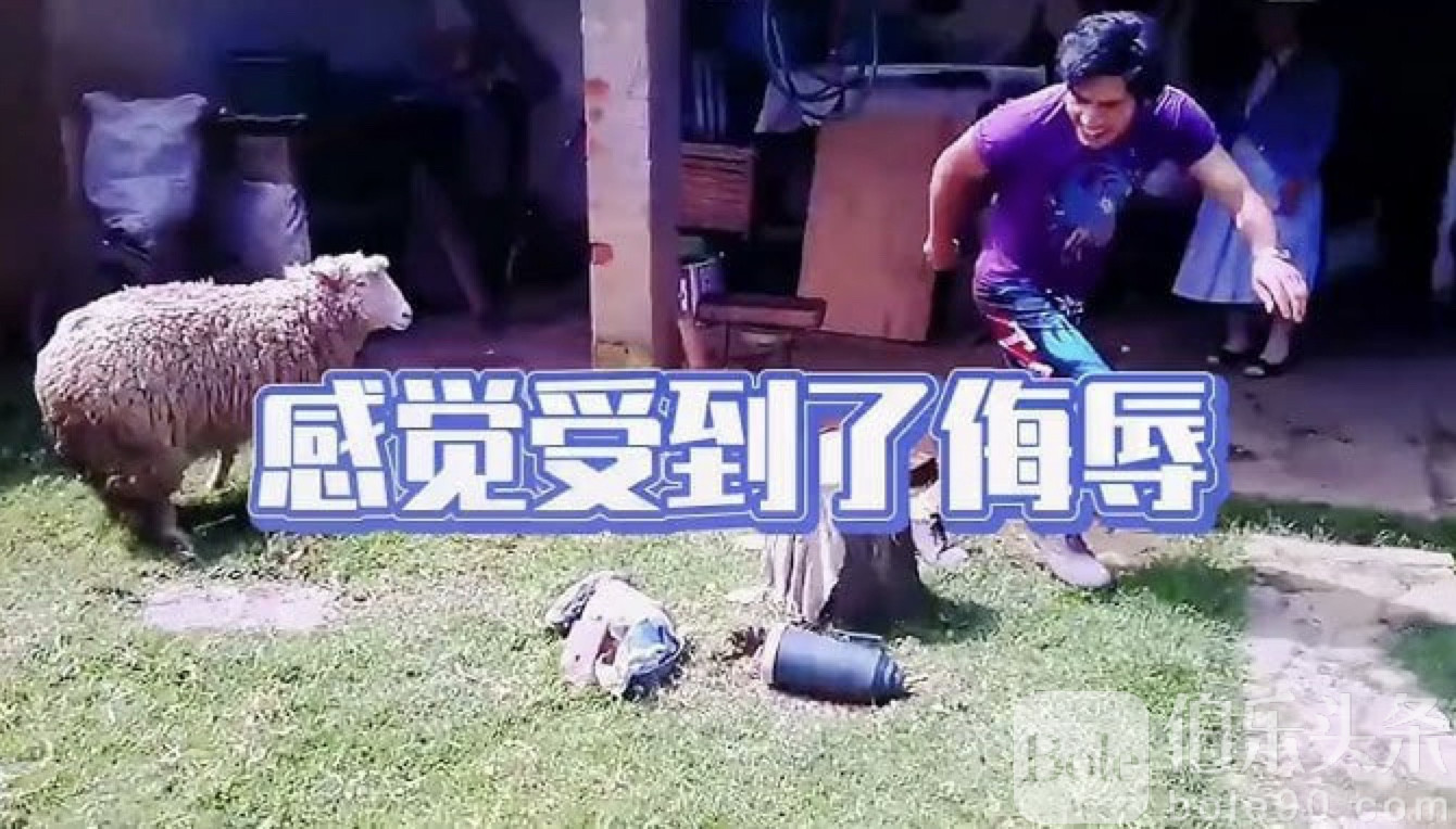 图像2025-7-6 15.58.jpeg
