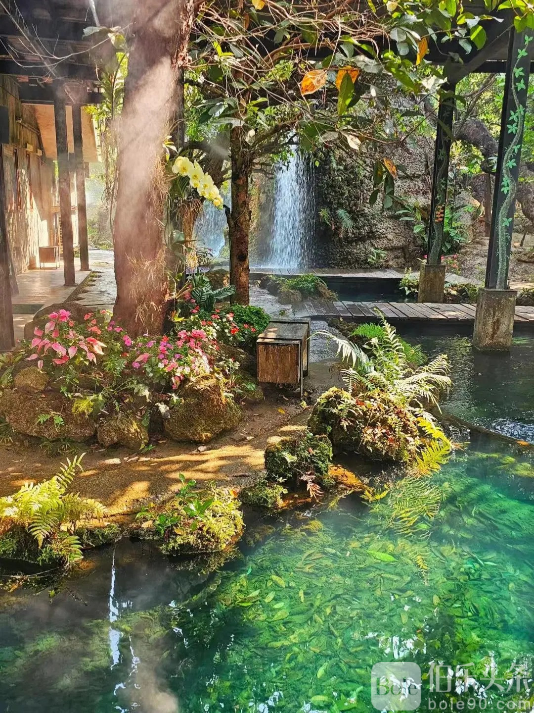 清迈旅游｜吹爆这个小众打卡地_5_泰国泰悦途旅行社_来自小红书网页版.jpg