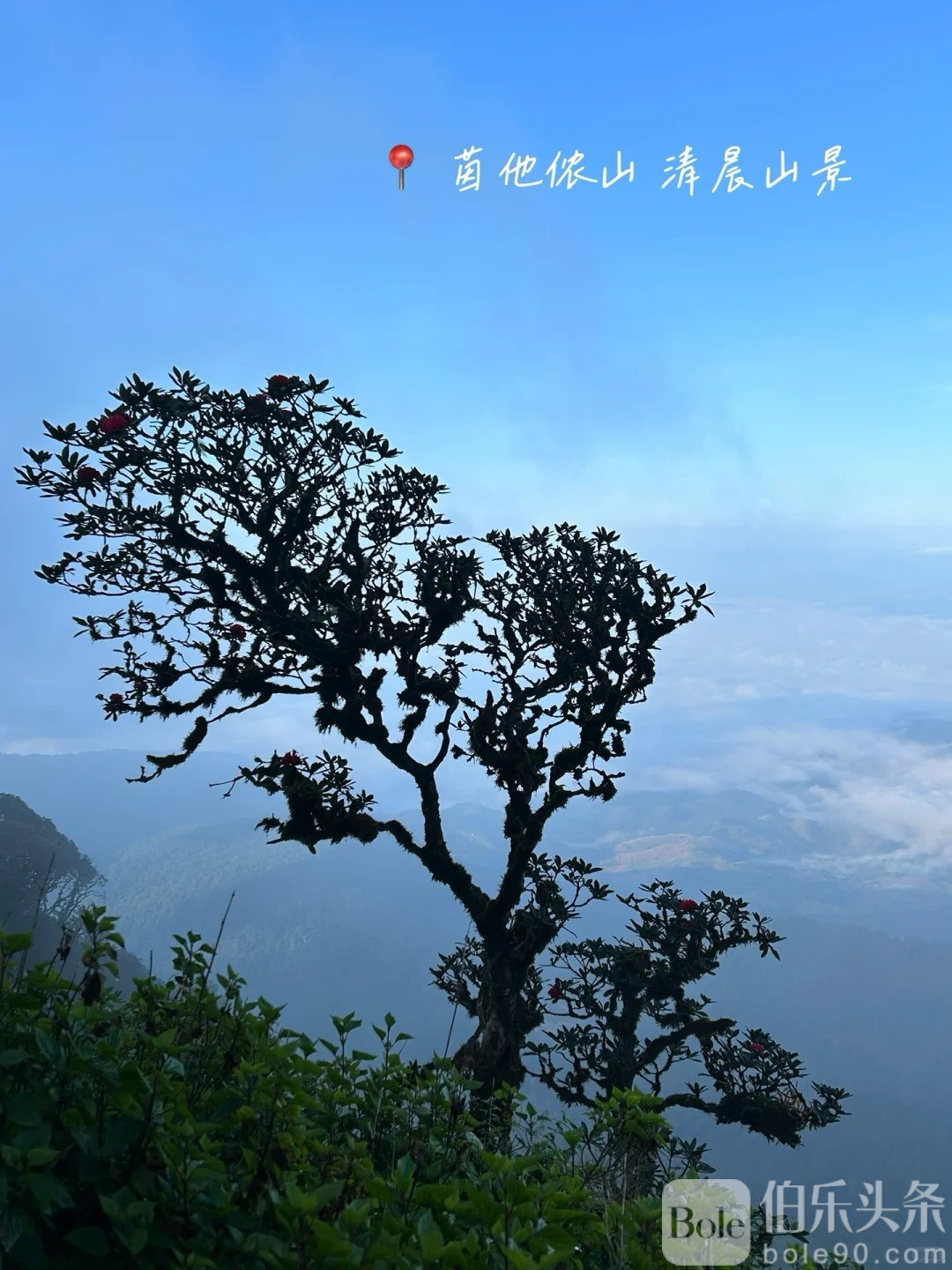 清迈旅游｜吹爆这两个小众景点_5_豆豆的汉教日记_来自小红书网页版.jpg