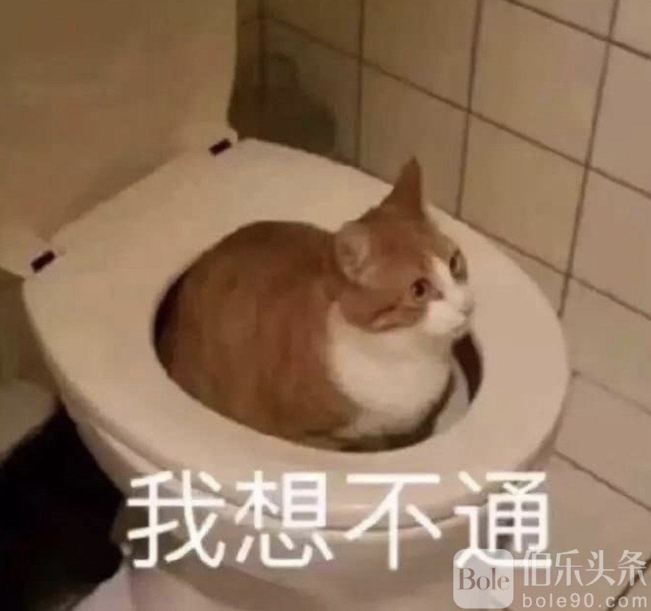 图像2025-8-6 14.14.jpeg