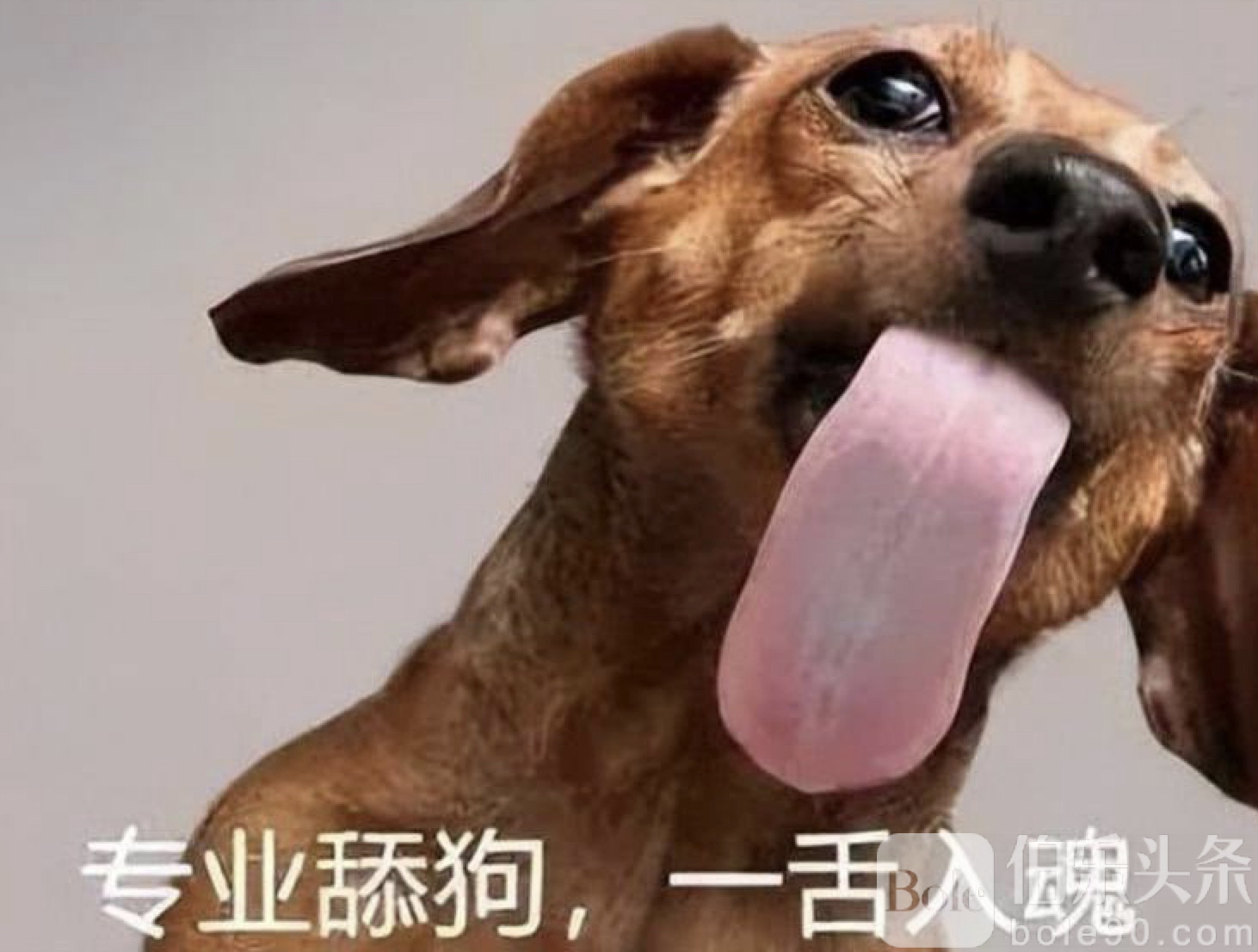 图像2025-9-10 12.37.jpeg