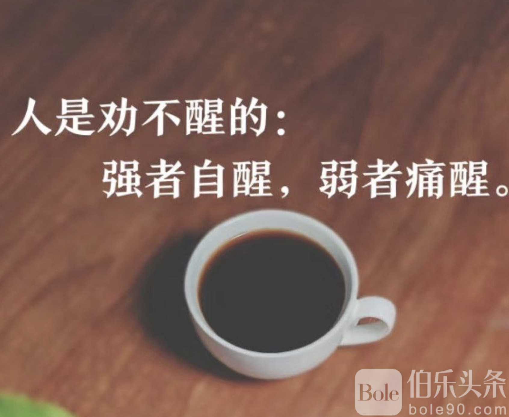 图像2025-9-12 12.33.jpeg