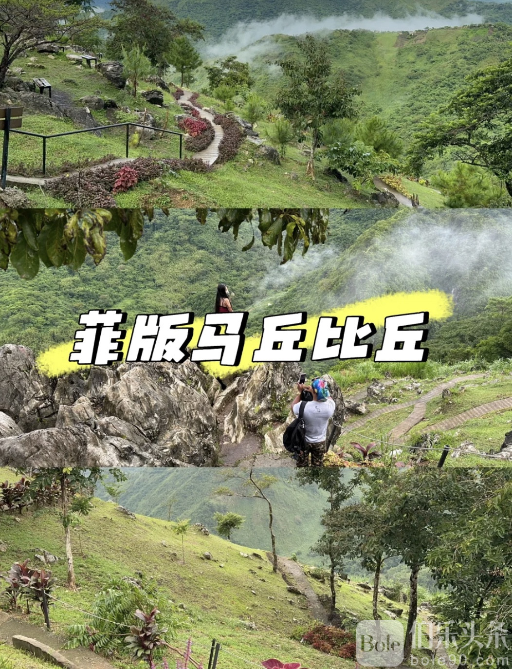 图像2025-11-3 12.41.jpeg