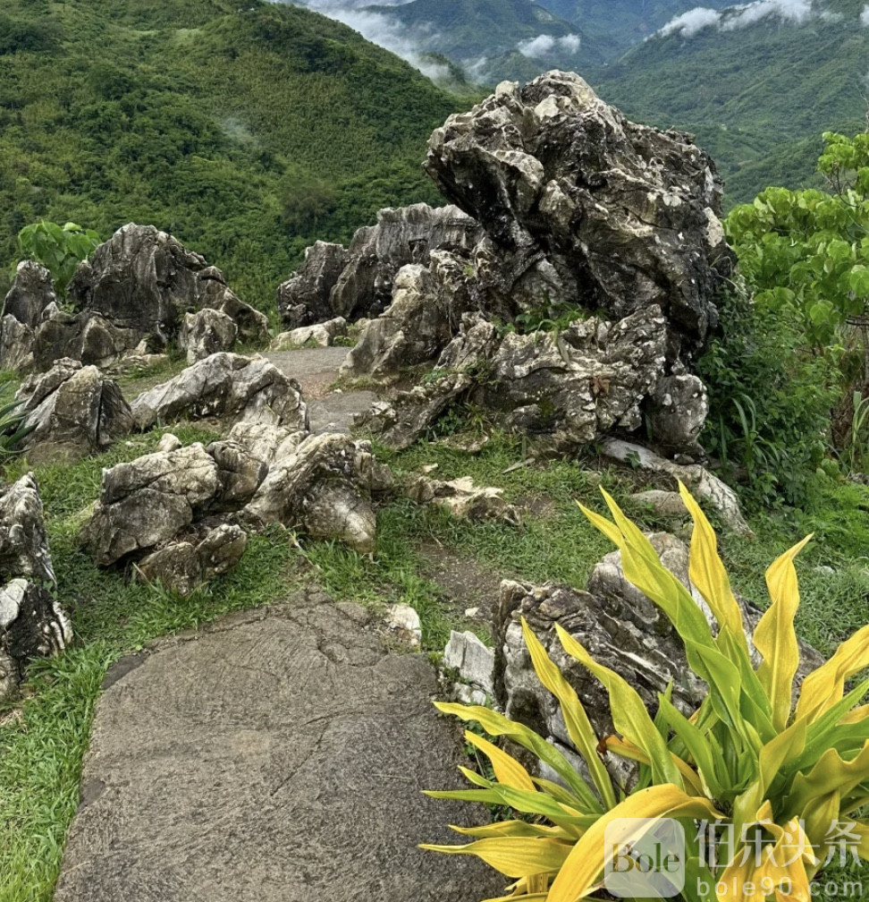 图像2025-11-3 12.42 (2).jpeg