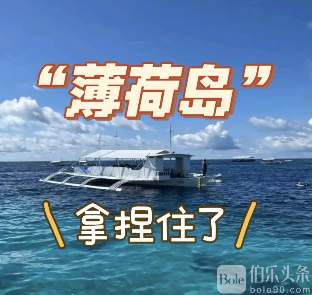 图像2025-11-3 12.46.jpeg