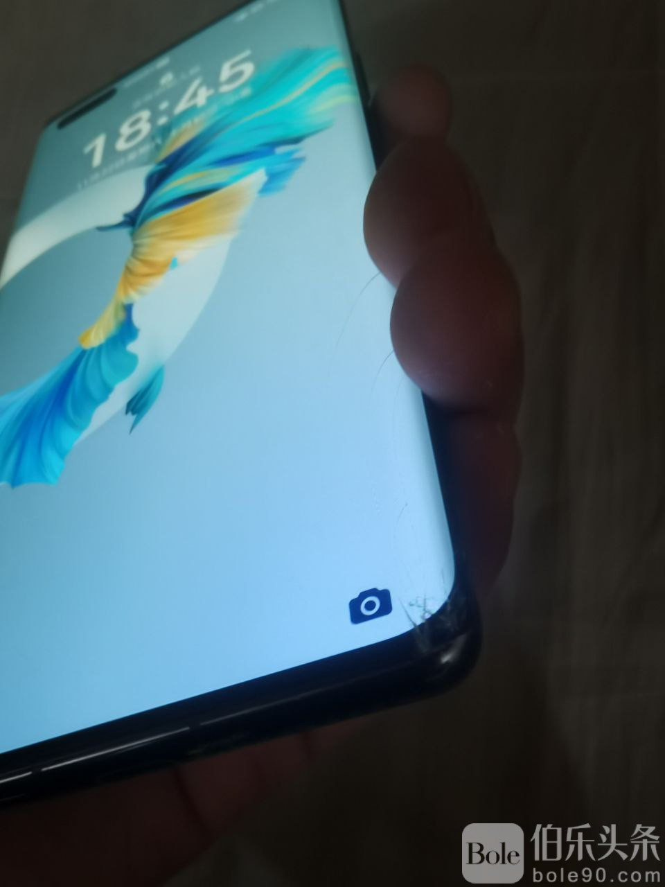 photo_2025-11-23 13.56.46.jpeg