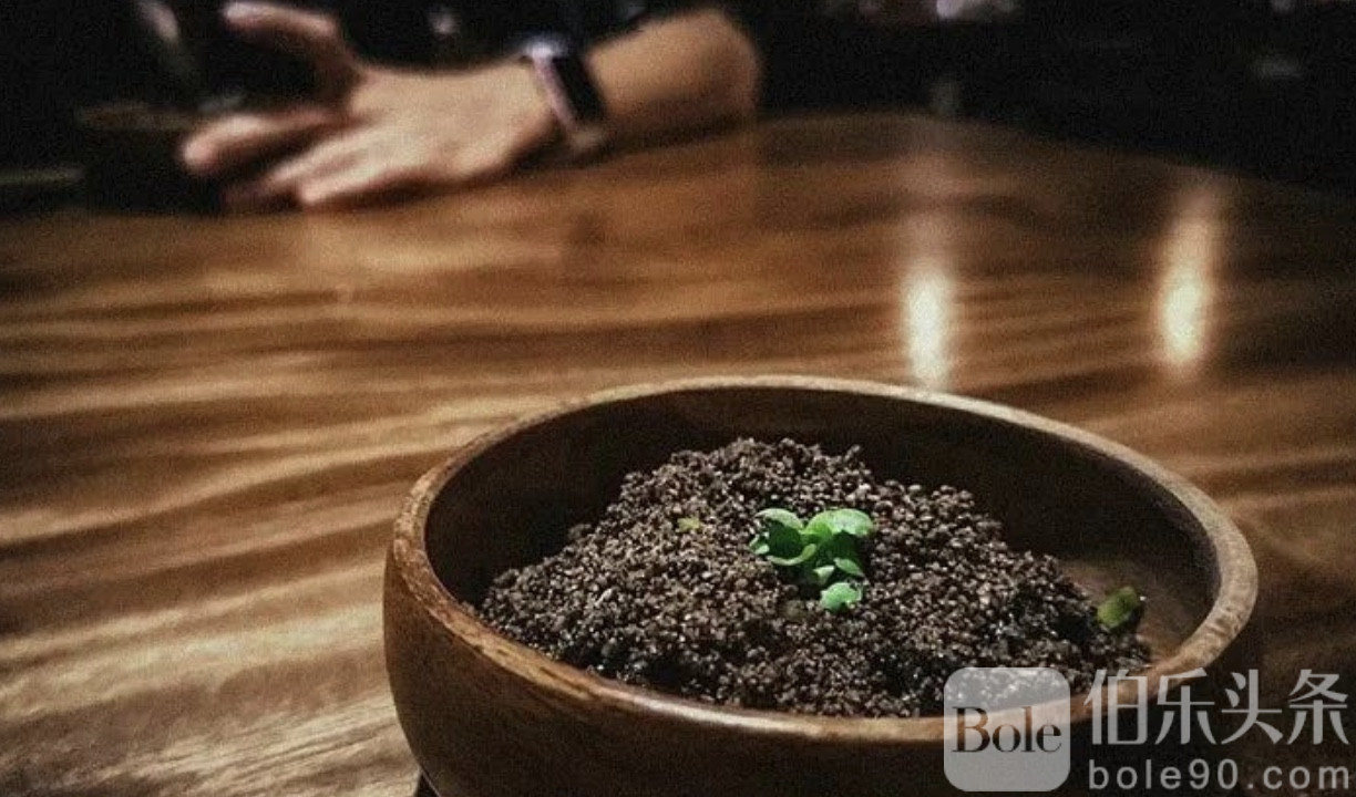 图像2025-11-24 12.43 (1).jpeg