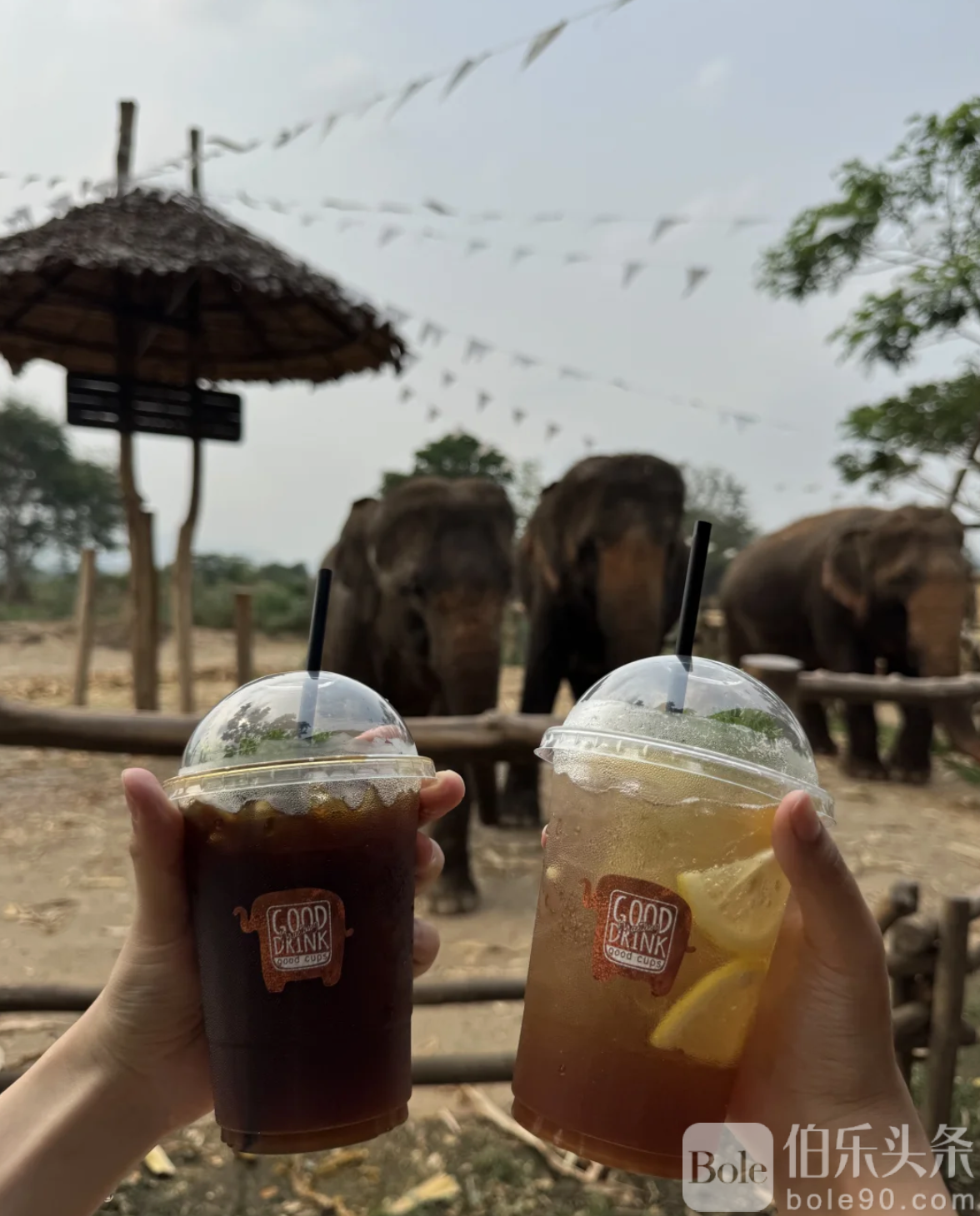 截屏2025-11-27 14.34.17.png