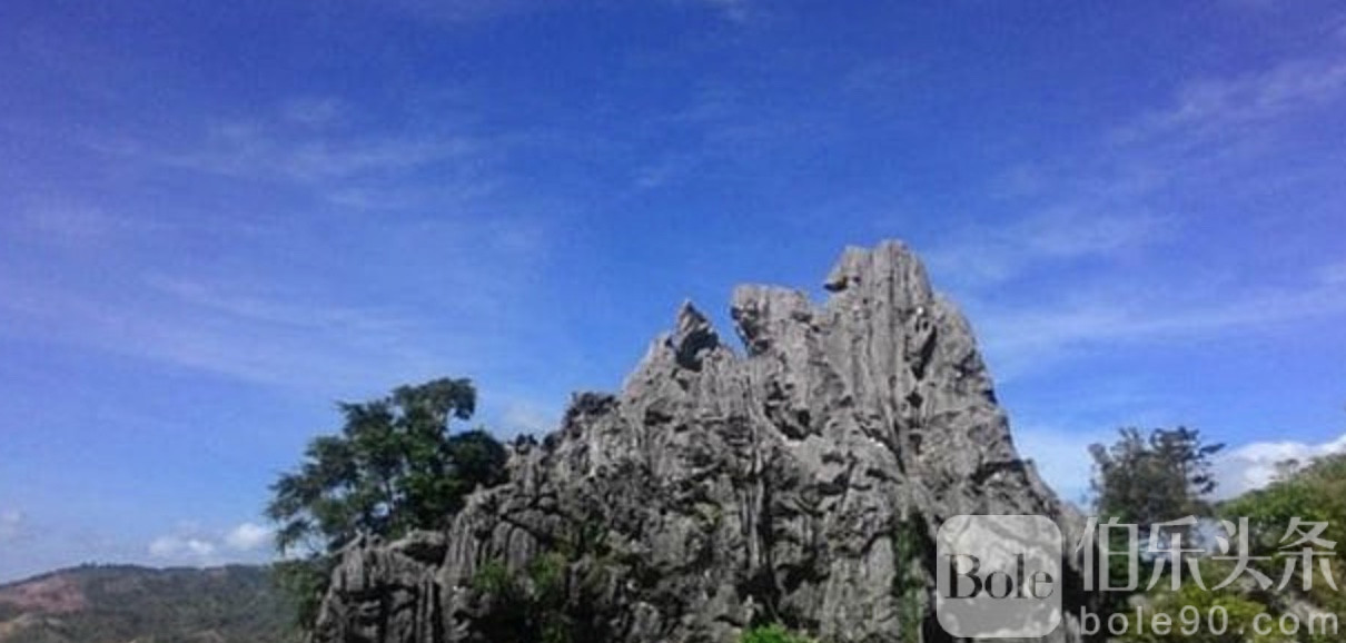 图像2025-12-8 12.42 (1).jpeg