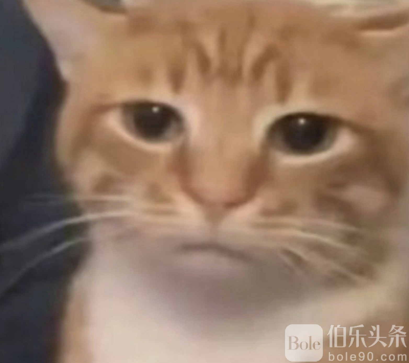 图像2025-12-11 12.38.jpeg