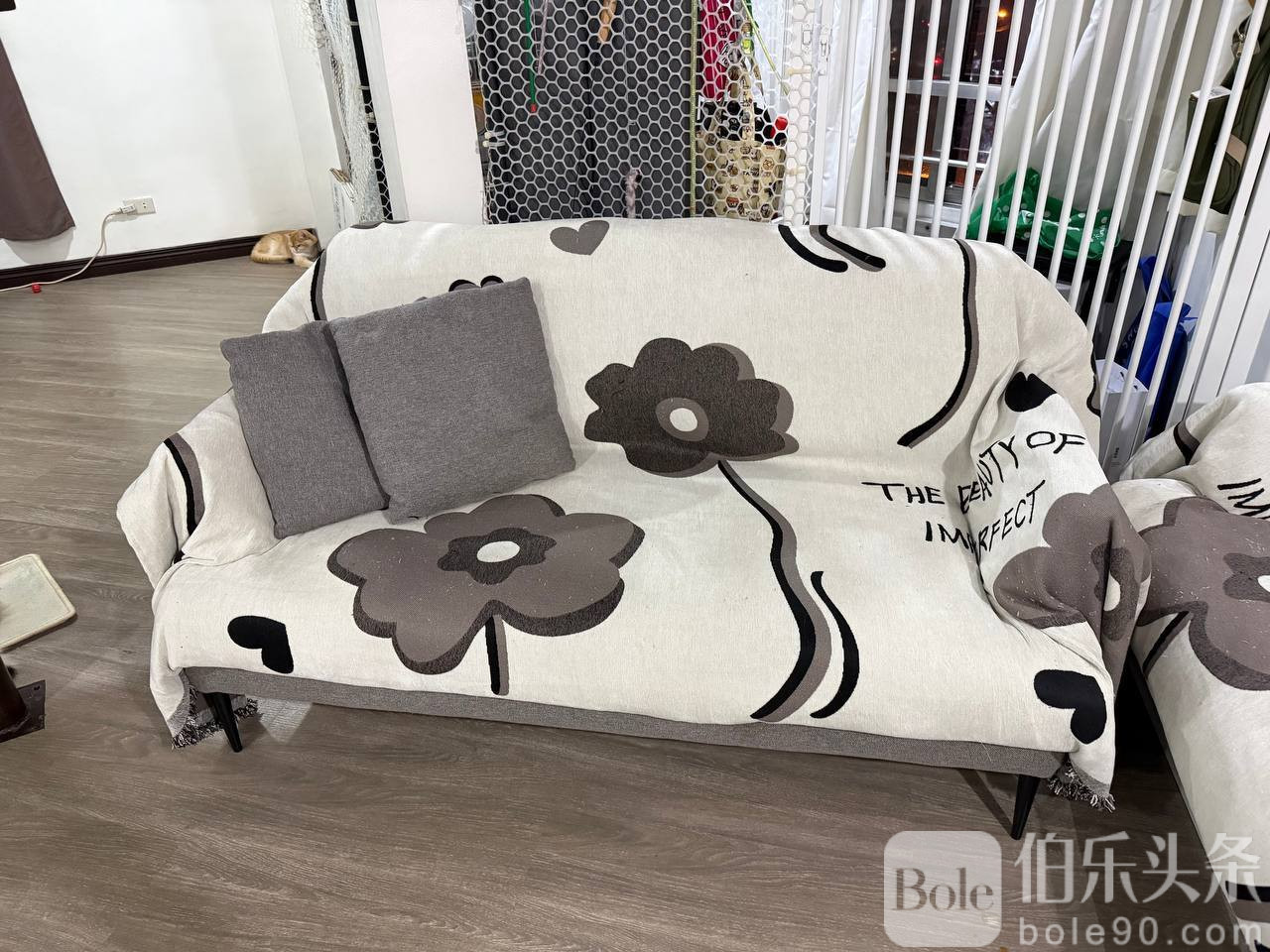 photo_2025-12-12 14.40.40.jpeg