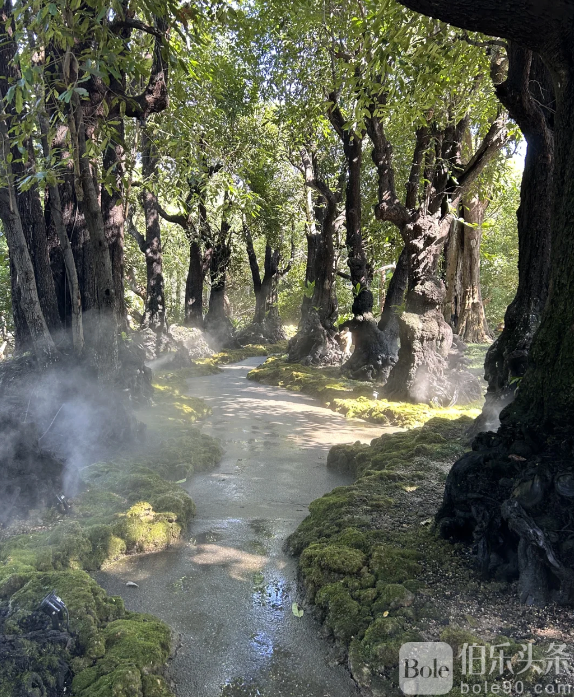 截屏2025-12-22 17.18.42.png