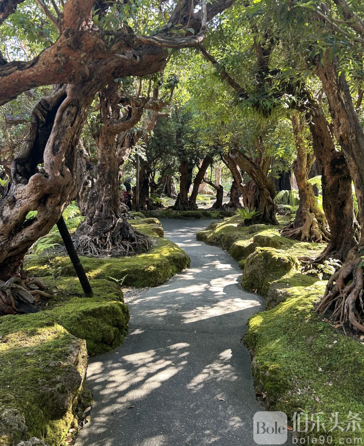 截屏2025-12-22 17.19.17.png