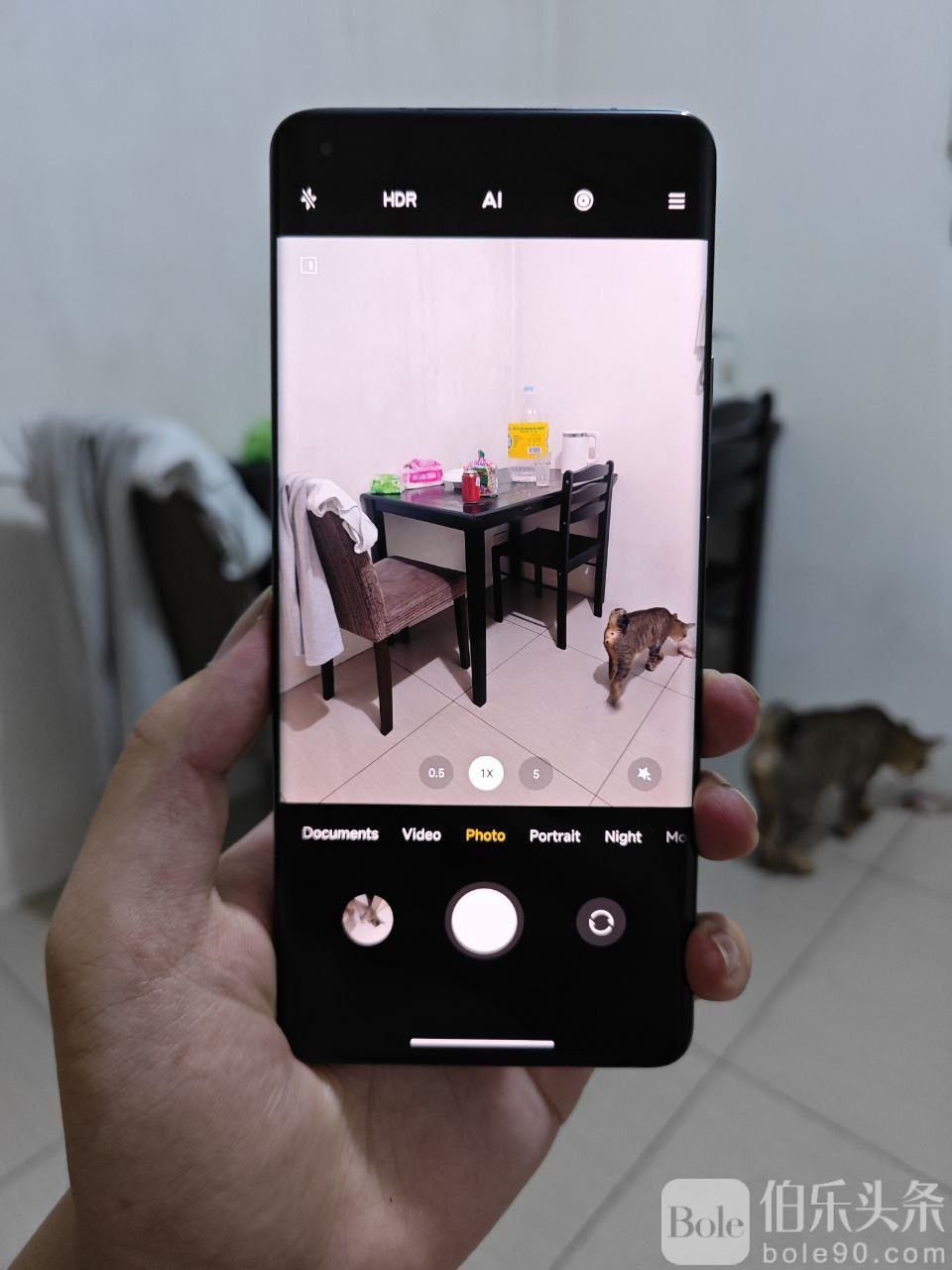 photo_2025-12-26 19.54.45.jpeg