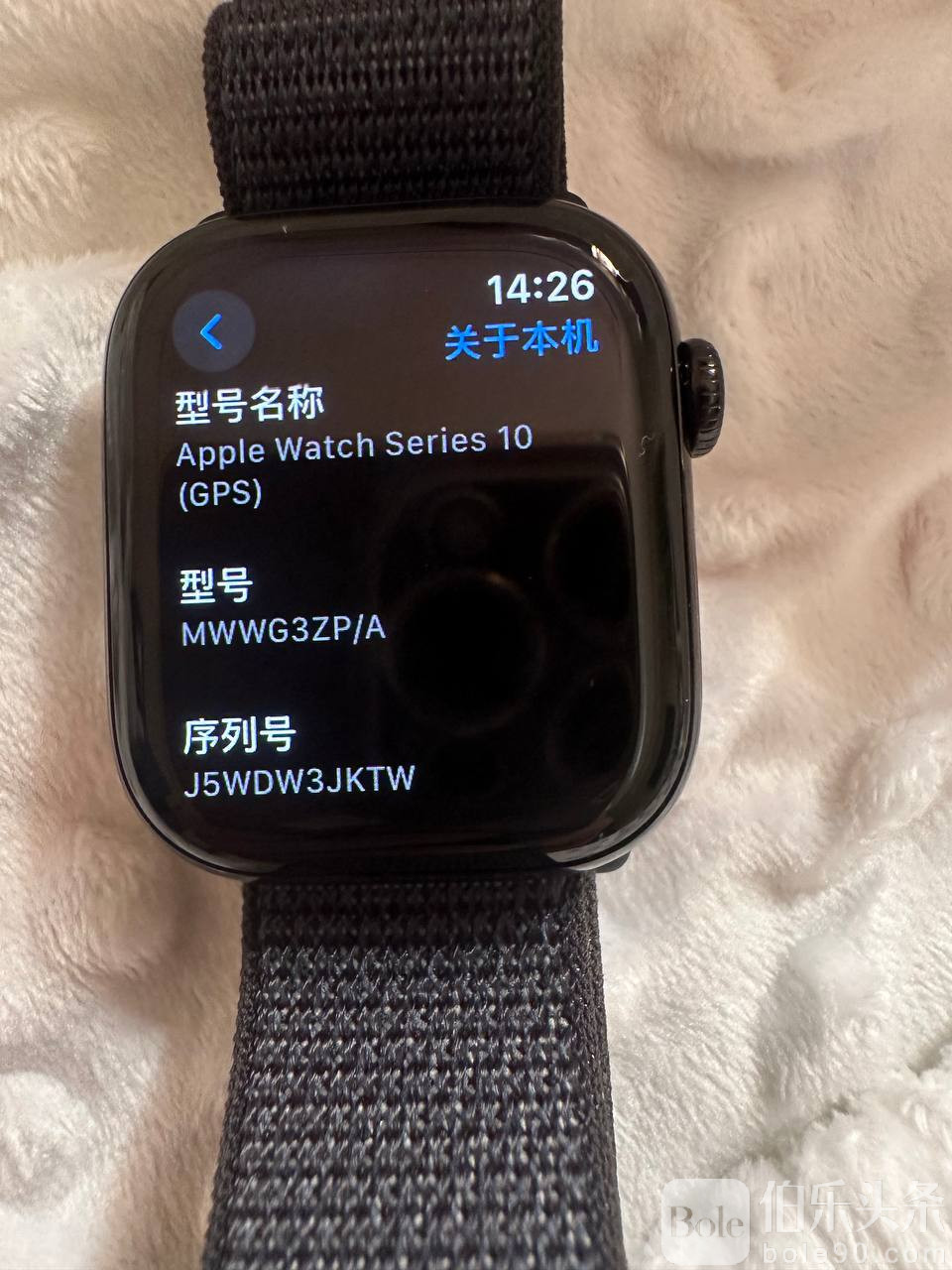 photo_2025-12-29 17.39.48.jpeg