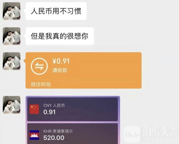 图像2026-1-2 12.48.jpeg