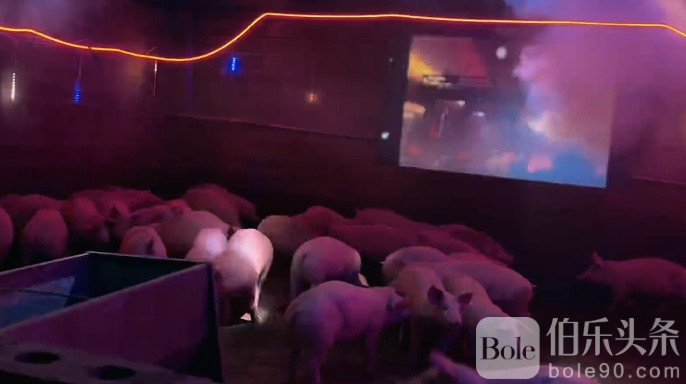 图像2026-1-7 12.14.jpeg