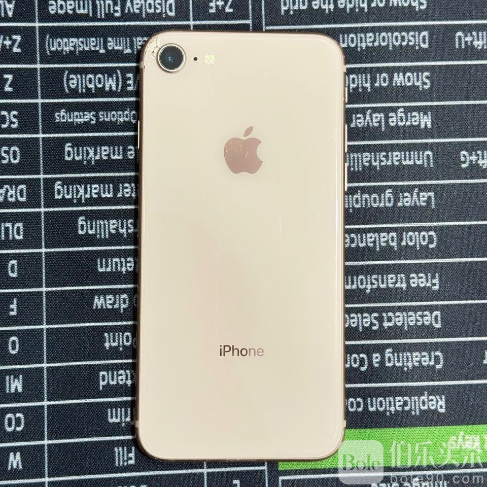 photo_2026-01-12 17.35.59.jpeg