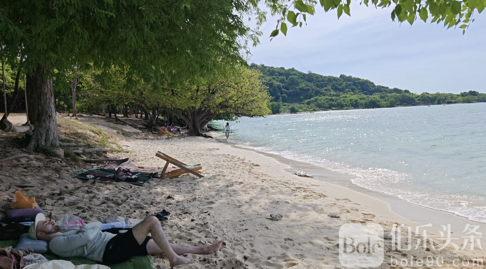 截屏2026-01-26 12.36.50.png