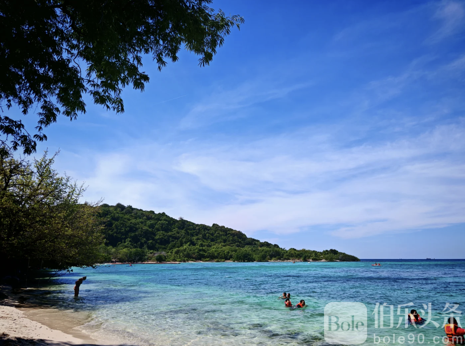 截屏2026-01-26 12.37.22.png