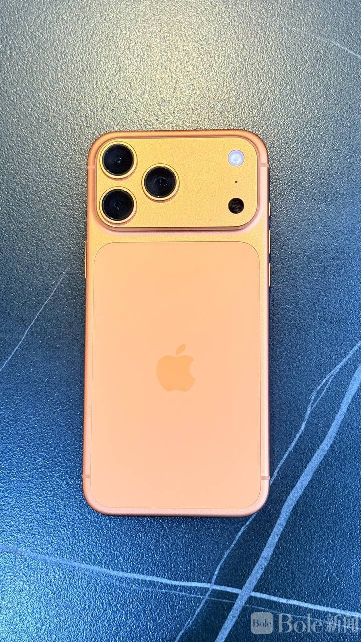 photo_2026-02-08 17.03.20.jpeg