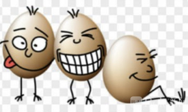 图像2026-3-3 12.22.jpeg