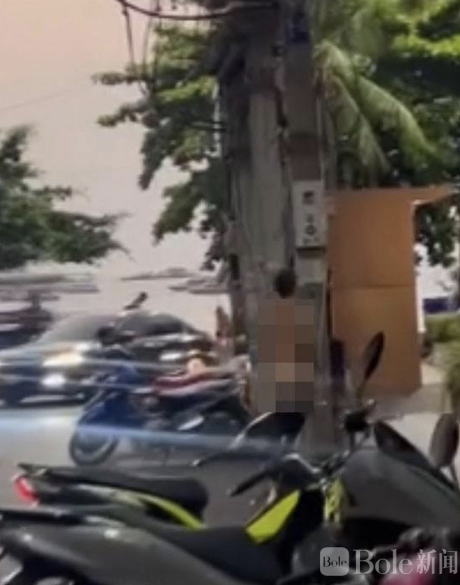 图像2026-3-11 13.40.jpeg