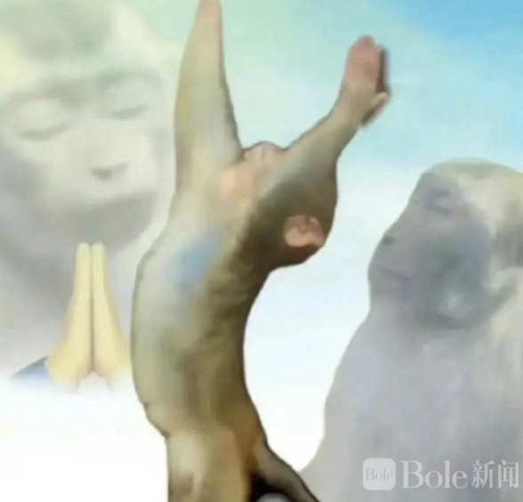 图像2026-3-23 12.34.jpeg