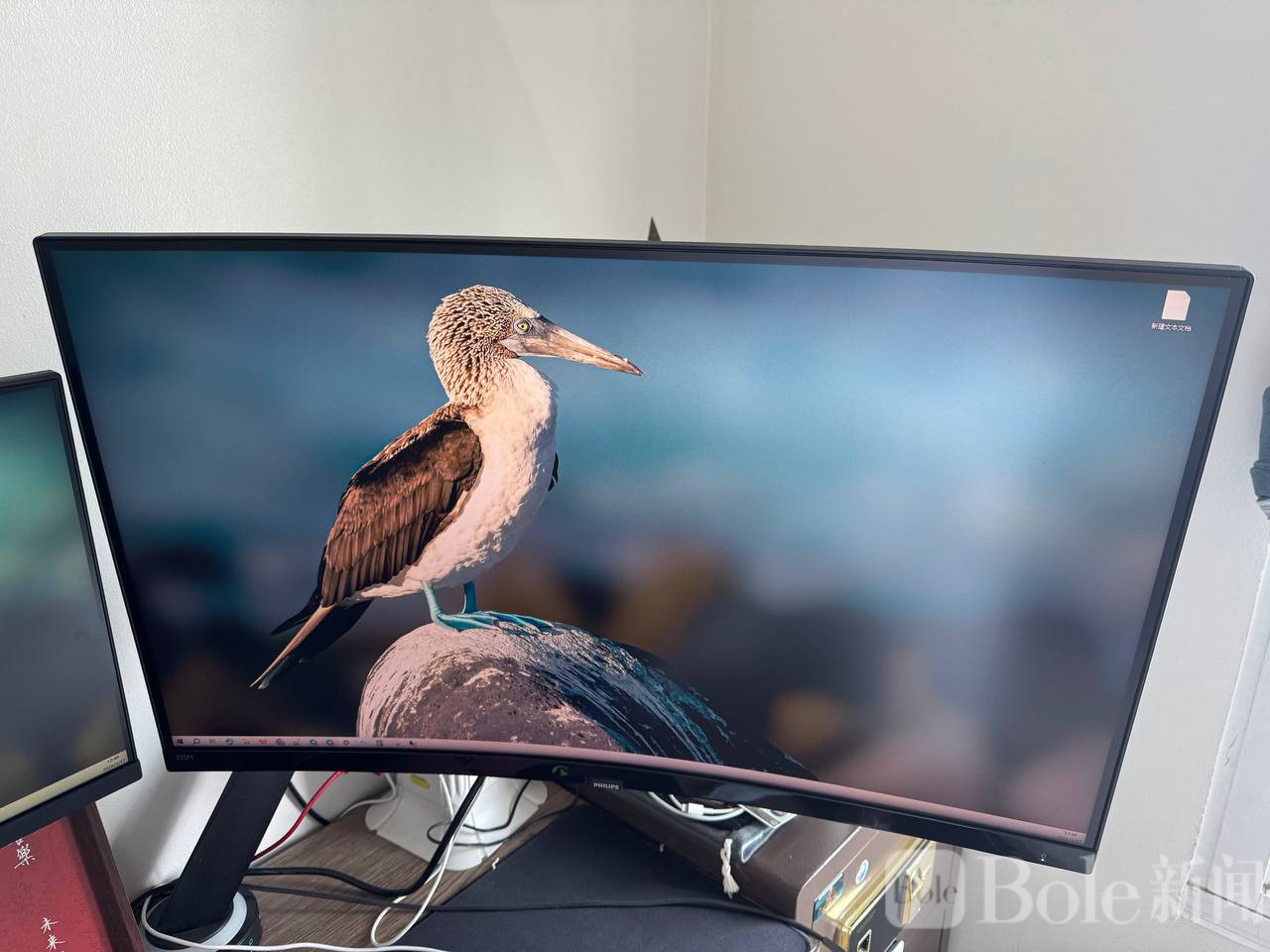 photo_2026-03-27 15.33.11.jpeg