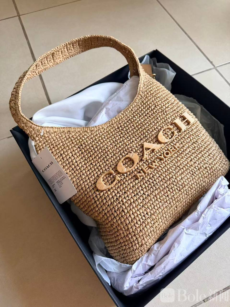 photo_2026-04-01 11.50.46.jpeg