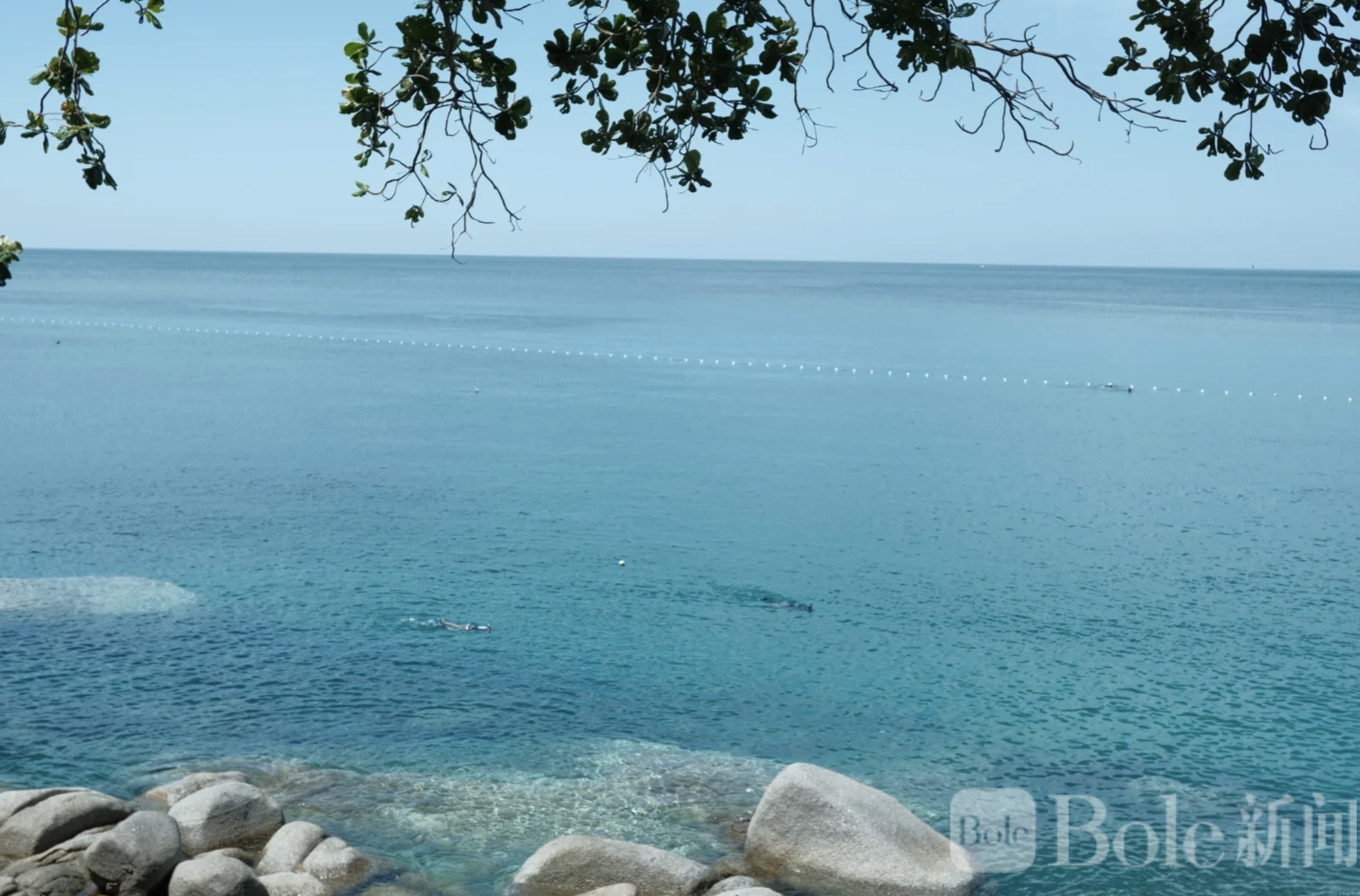 图像2026-4-14 17.11.jpeg