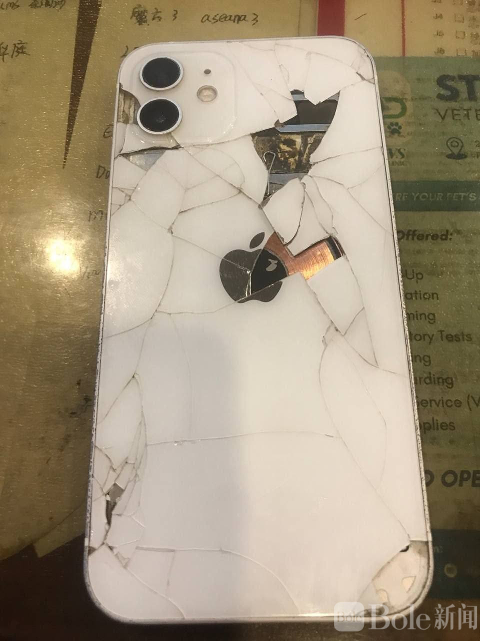 photo_2026-04-17 15.39.00.jpeg