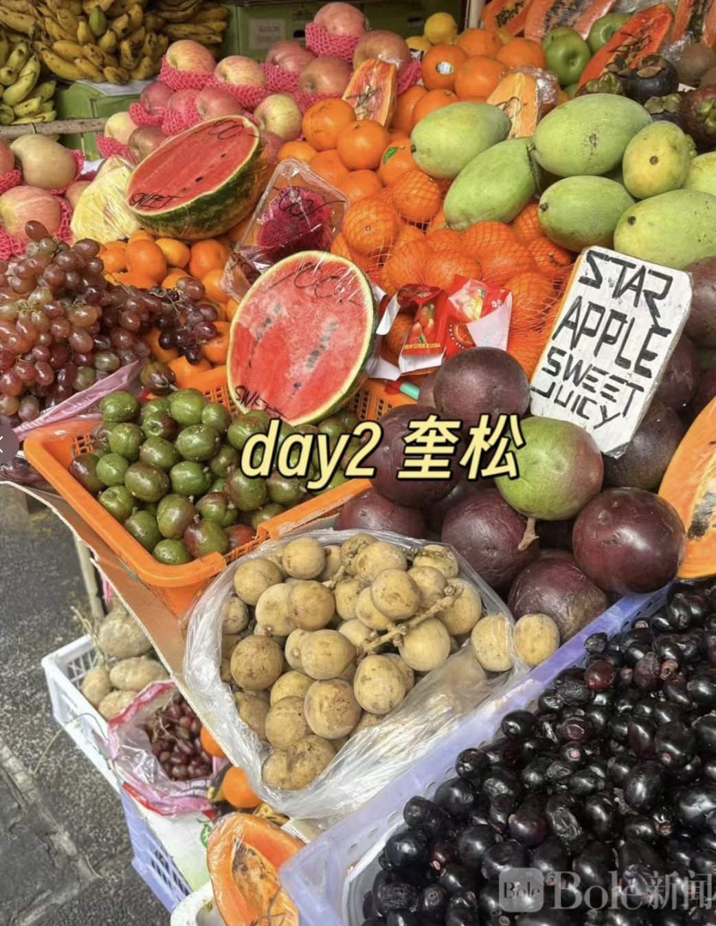 图像2026-5-1 14.07 (1).jpeg
