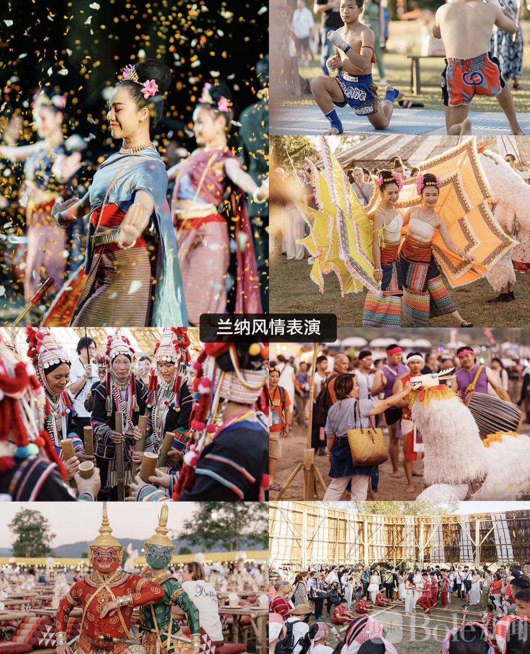 图像2026-5-6 17.14.jpeg