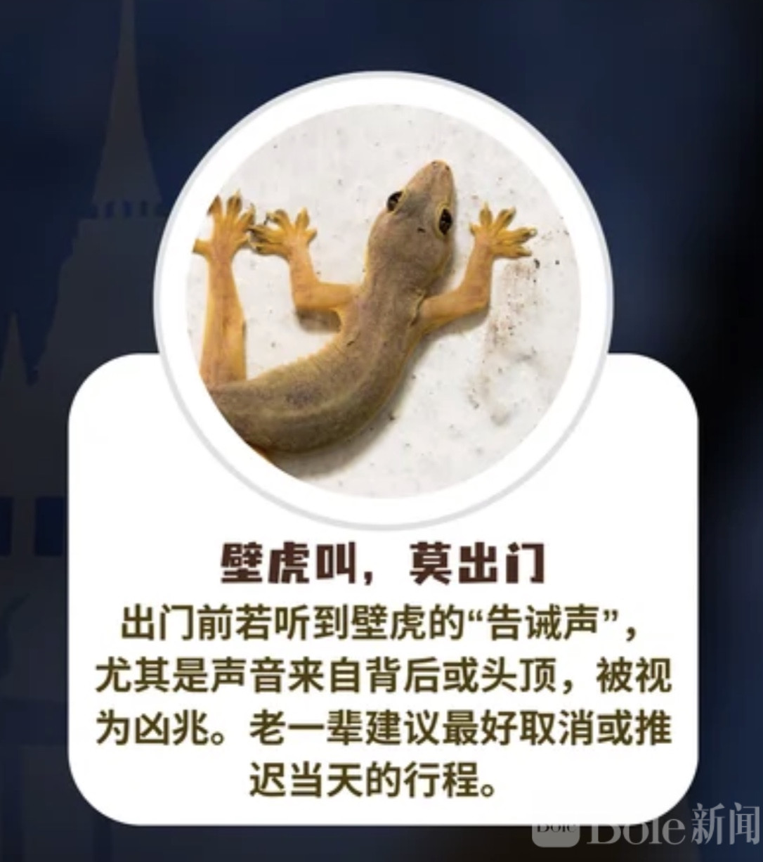 图像2026-5-6 19.32 (2).jpeg