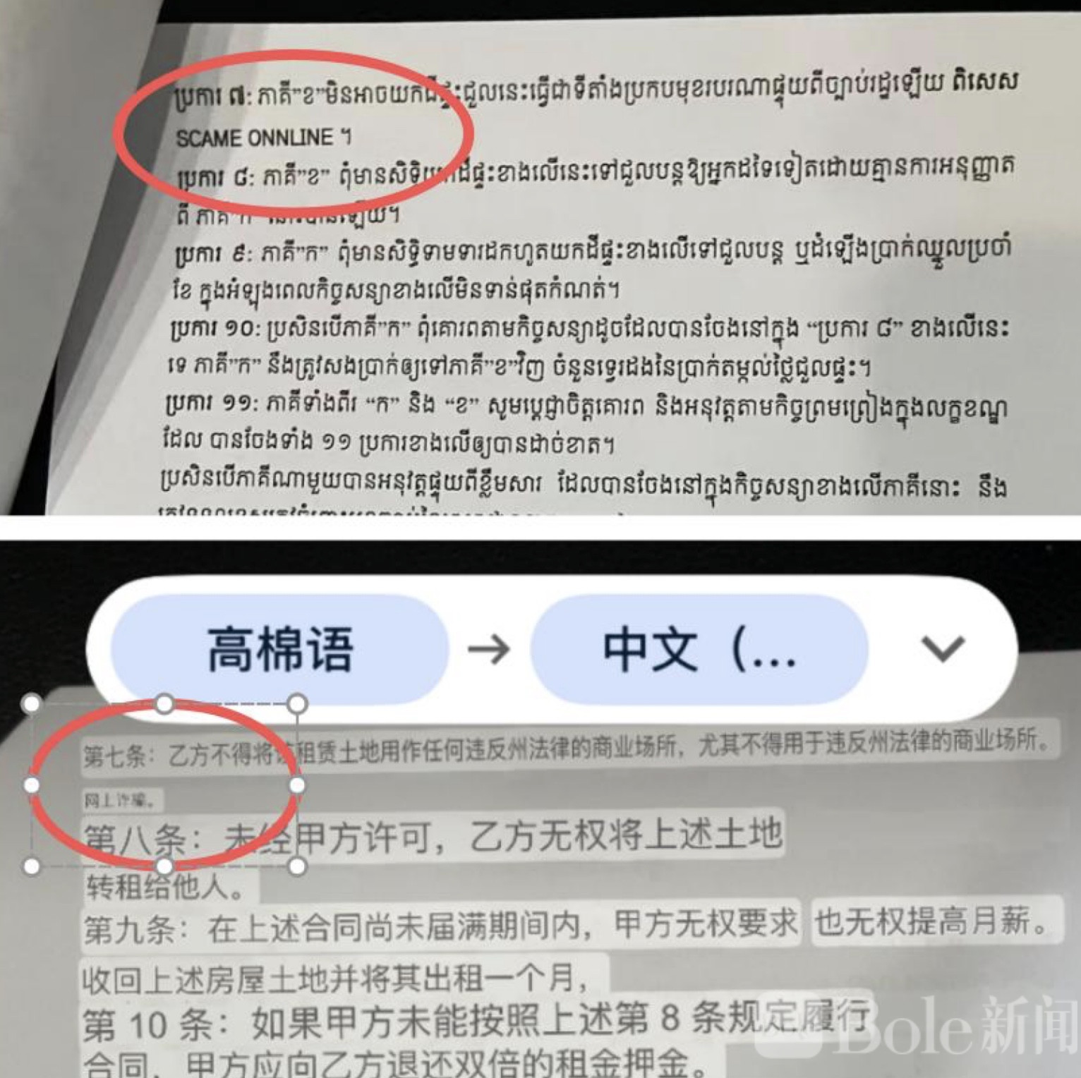 图像2026-5-8 15.39.jpeg