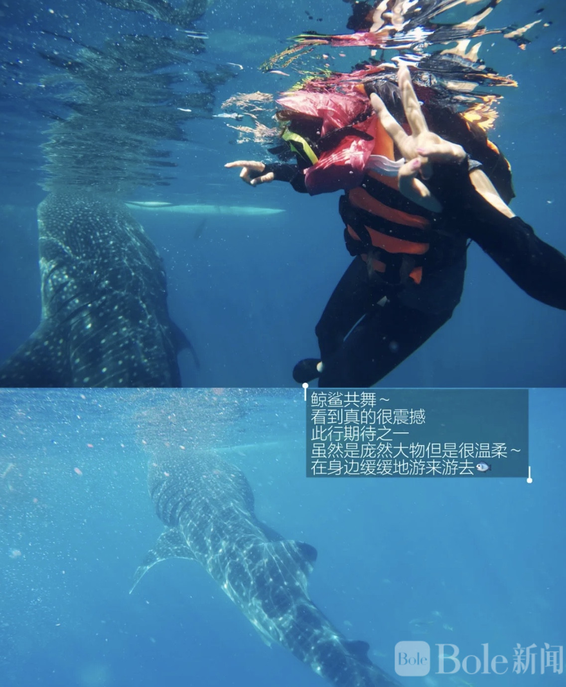 图像2026-5-18 12.34 (1).jpeg