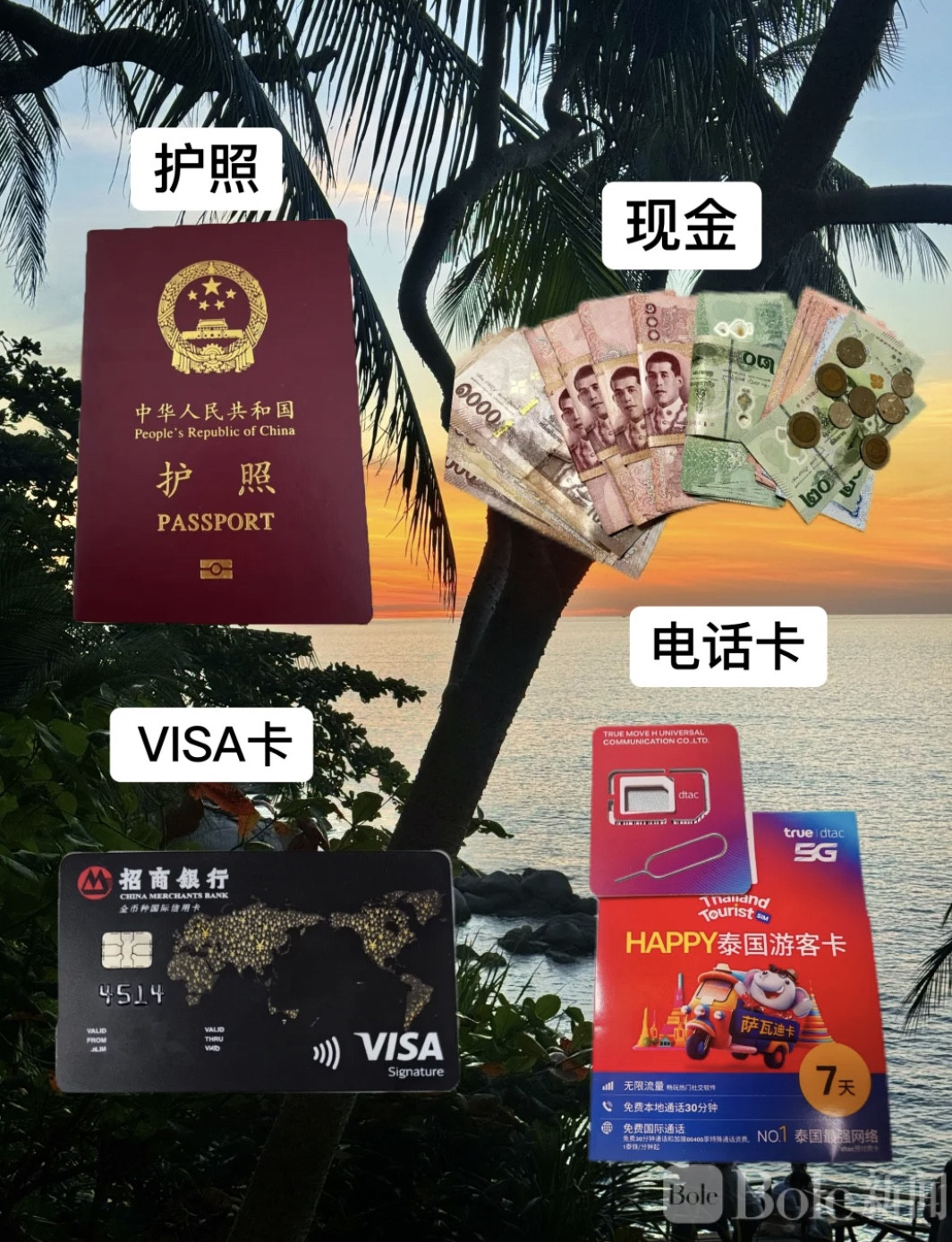 图像2026-6-29 12.54.jpeg